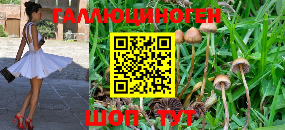 Псилоцибиновые грибы Magic Shrooms Клин