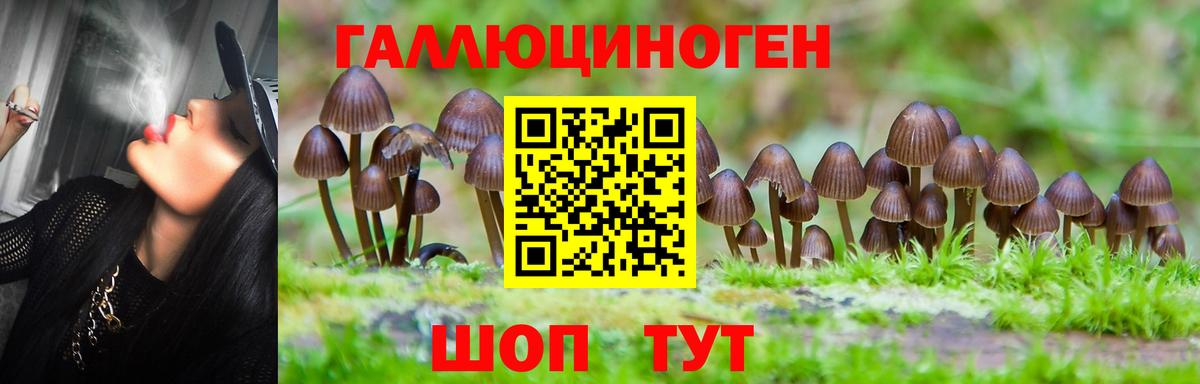 Галлюциногенные грибы Psilocybine cubensis  Вход с VPN  Клин 